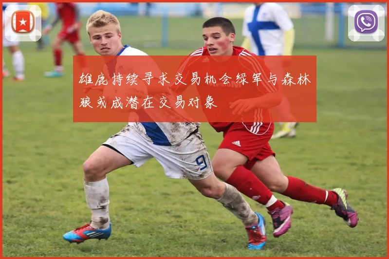 雄鹿持续寻求交易机会绿军与森林狼或成潜在交易对象